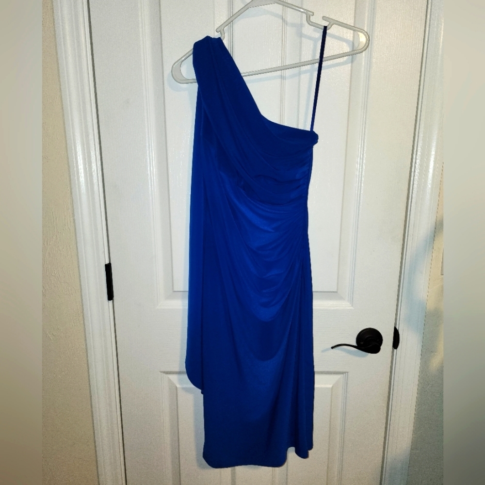 Lauren Ralph Lauren women's dress, sz 2  *222.21